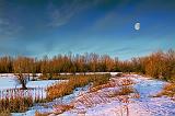 Richmond Lagoons At Sunrise_14474